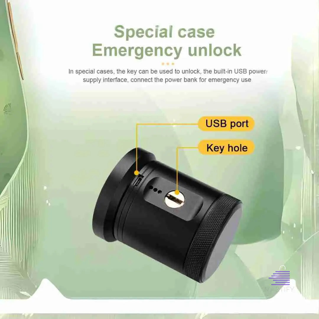 BluGuard SecureTouch: Smart Bluetooth Apartment Lock with Multi-Unlock Technology